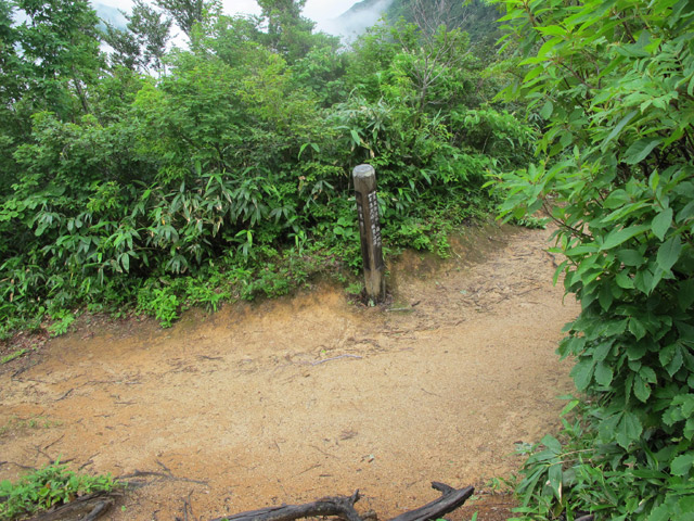 c0116856_944316.jpg