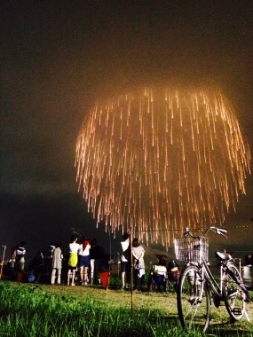 hanabi_c0165060_19142285.jpg