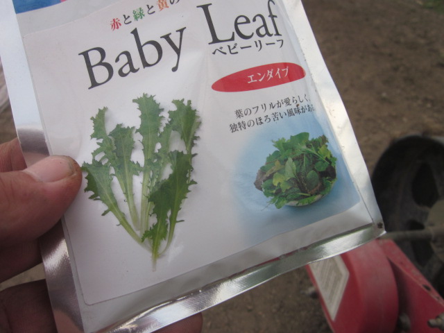 皆さんに助けられています_e0181260_20375793.jpg