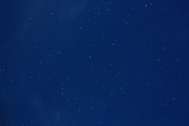 a0079474_8594290.jpg