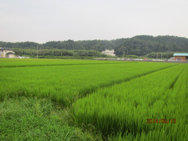 f0350477_08085792.jpg
