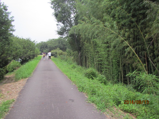 f0350477_08154035.jpg