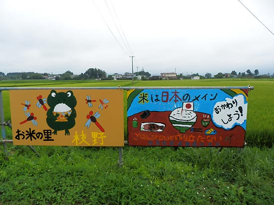 8月15日の田んぼ(上目黒小・枝野小)_d0247484_134957.jpg
