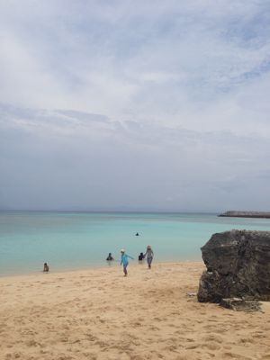 e0190687_14261069.jpg