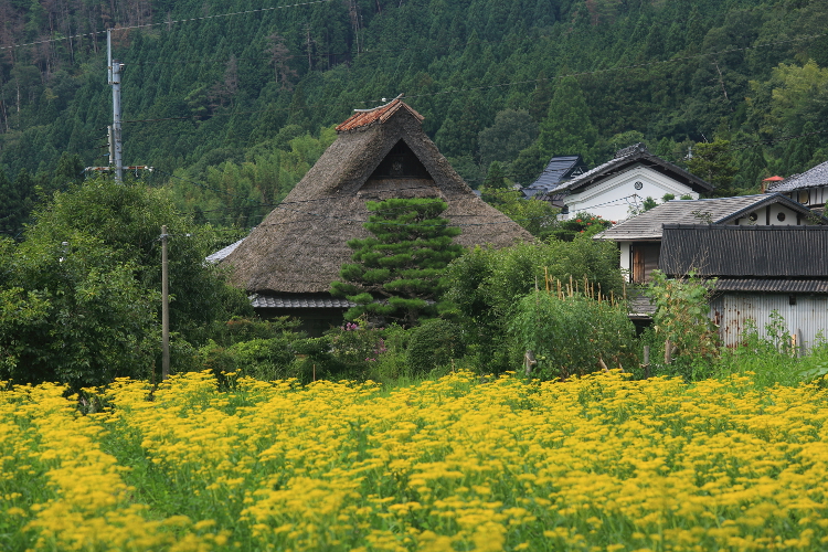 嵯峨越畑_e0051888_023247.jpg