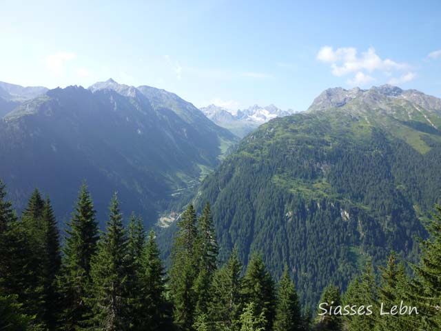 e0088895_14403540.jpg