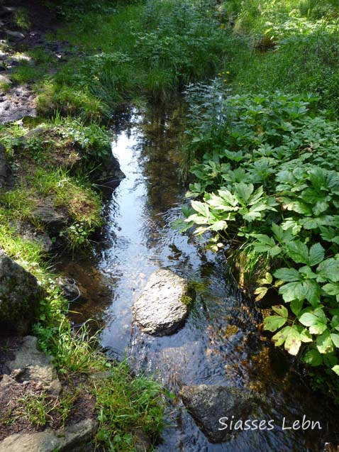 e0088895_1442846.jpg
