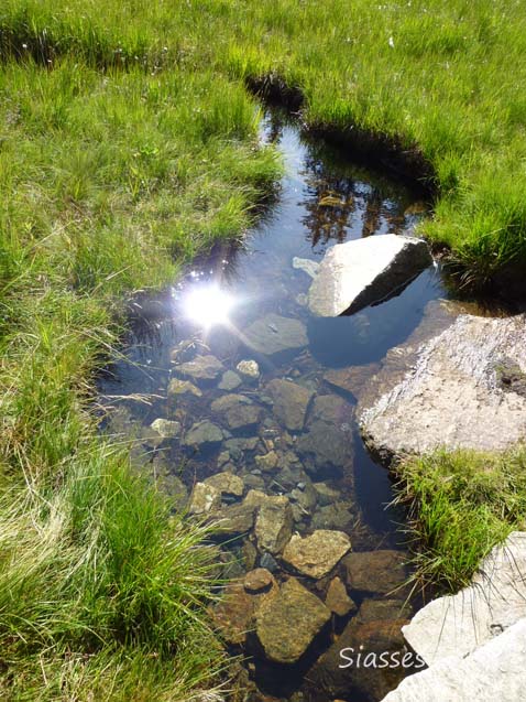 e0088895_14431018.jpg
