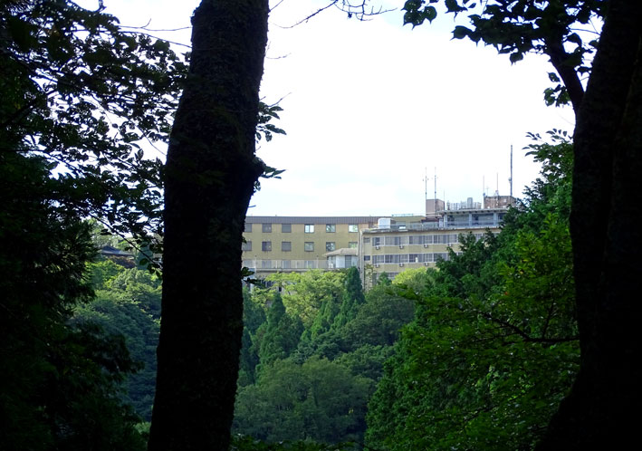 榊原だけにある風景_b0145296_9181899.jpg