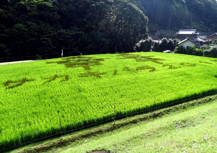 榊原だけにある風景_b0145296_9183097.jpg