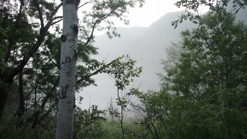 e0124597_16051759.jpg
