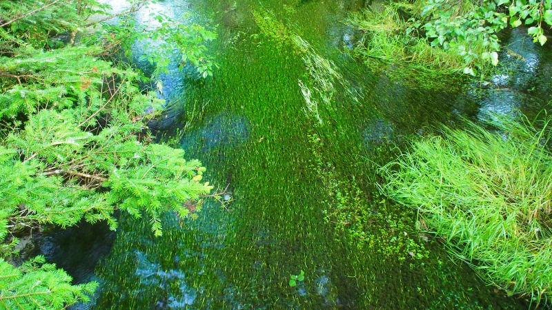e0124597_16061116.jpg