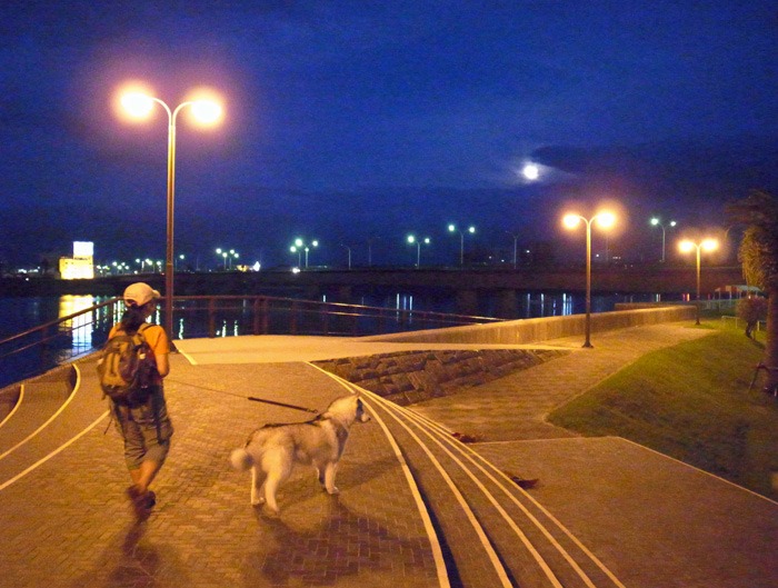 c0049299_22224063.jpg