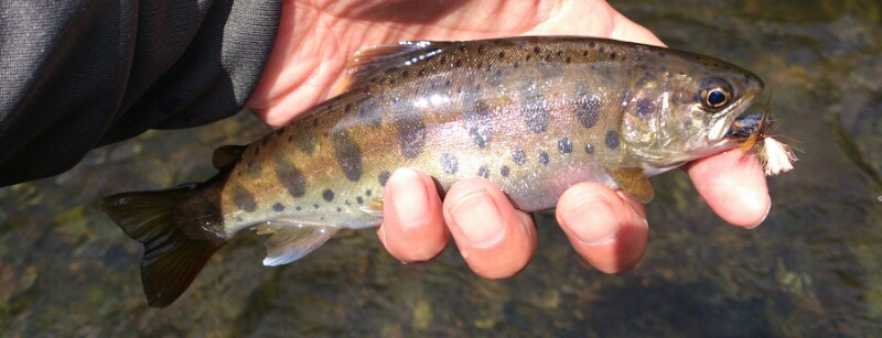 北海道 釣り？観光？仕事？(再投稿)_f0266202_21515856.jpg