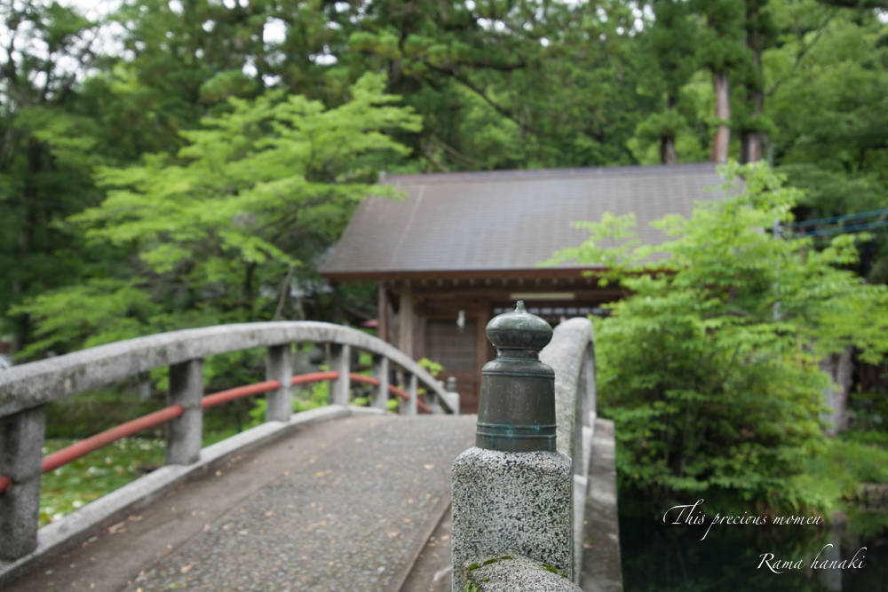 長坂神社蓮池_c0137403_11513072.jpg