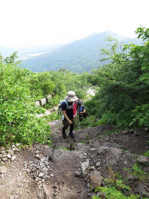 e0077010_20353530.jpg