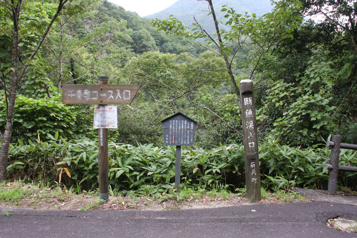 e0077010_2051063.jpg