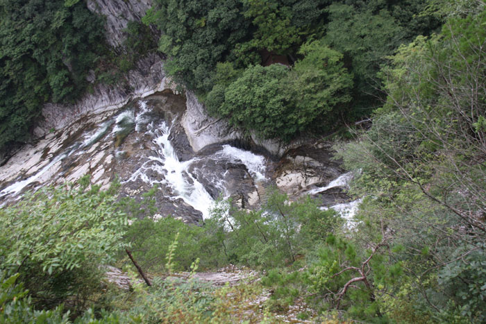 e0077010_20522450.jpg