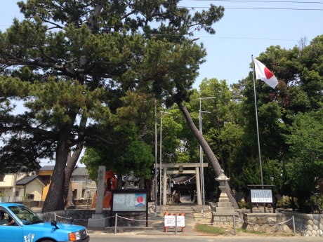 東海道２０１４①_d0092413_11241244.jpg