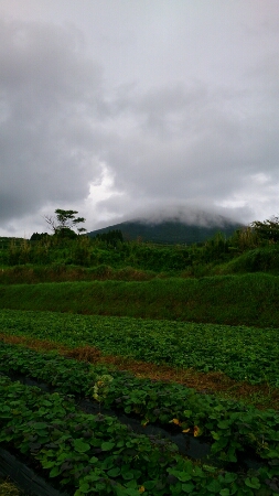 b0314016_21373764.jpg