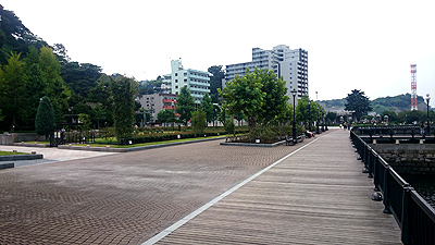 d0087129_16431567.jpg