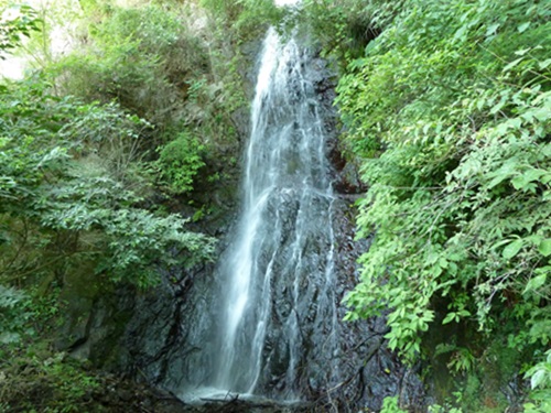 e0033229_22493030.jpg