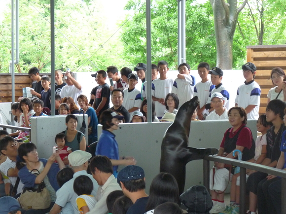 第25回岐阜県中学選抜軟式野球大会_d0010630_2212847.jpg