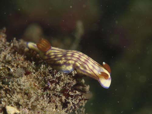 2014年８月１６日（土・曇りのち雨）甲浦_d0164831_15492613.jpg