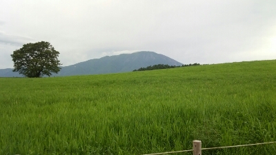 c0267235_1431336.jpg