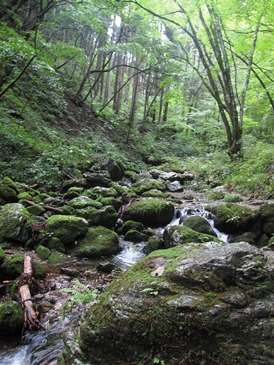 e0011145_21200725.jpg
