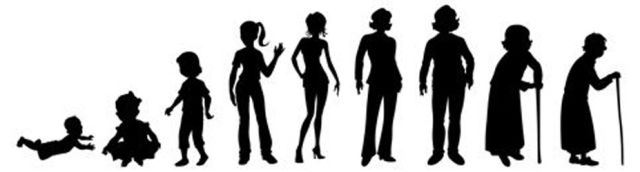 身長は本当に縮むのか Senda Medical Clinic Blog 身長は本当に縮むのか Senda Medical Clinic Blog