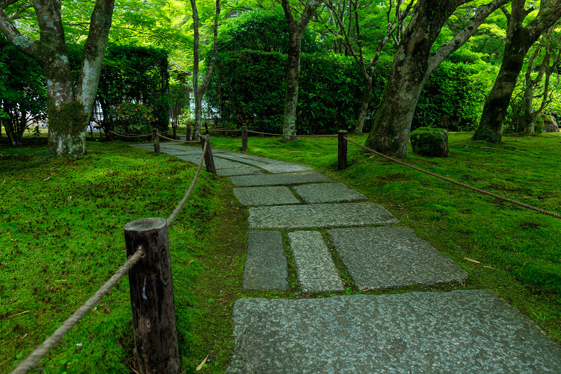 苔の寺（西芳寺）_f0155048_17521490.jpg