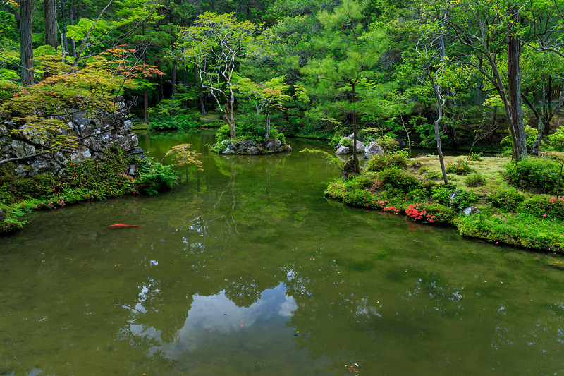 苔の寺（西芳寺）_f0155048_1758831.jpg