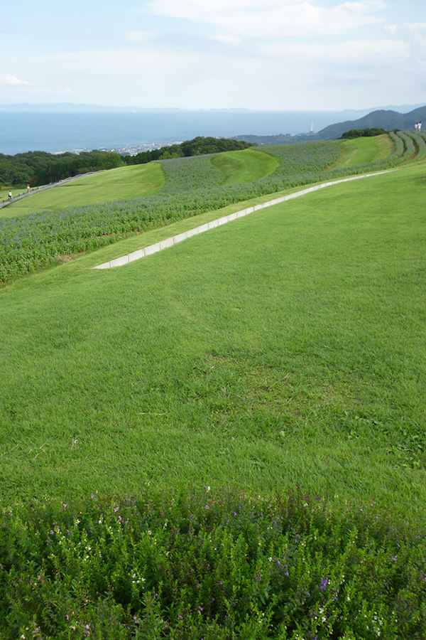 f0190950_1150418.jpg