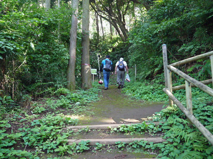 六国見山の管理用通路を園路に開放！散策がぐっと楽に_c0014967_17431753.jpg