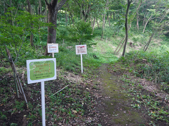 六国見山の管理用通路を園路に開放！散策がぐっと楽に_c0014967_174440100.jpg