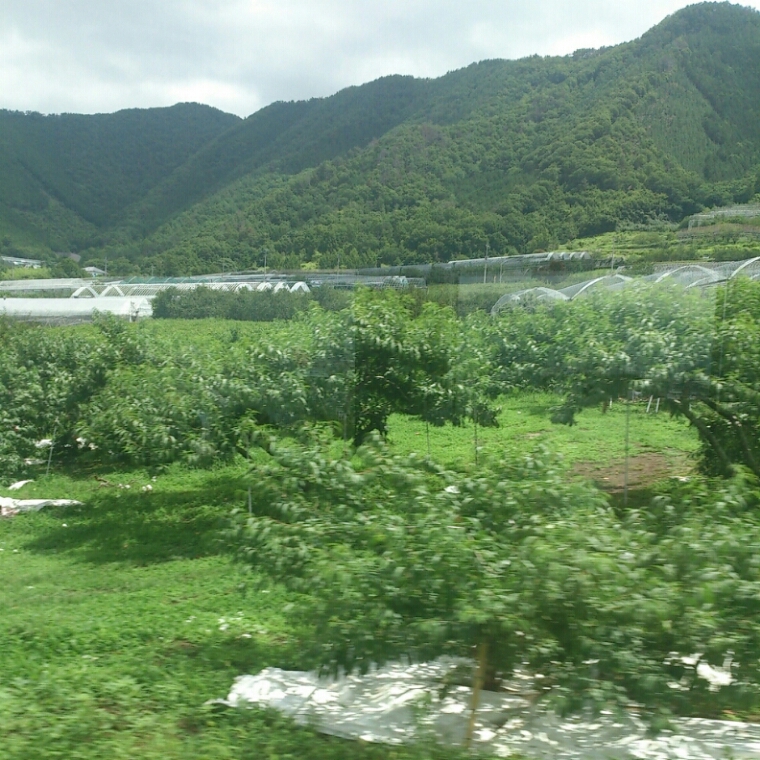 c0311170_727373.jpg