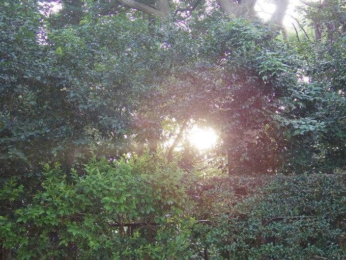 a0152078_8404632.jpg