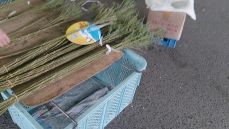 c0301085_851149.jpg
