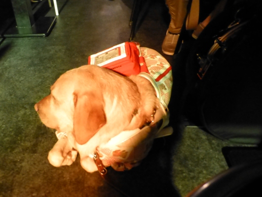 カラフル夏の2デイズライブ@Cavern Beat、2日目のライブレポ!_e0188087_11283831.jpg
