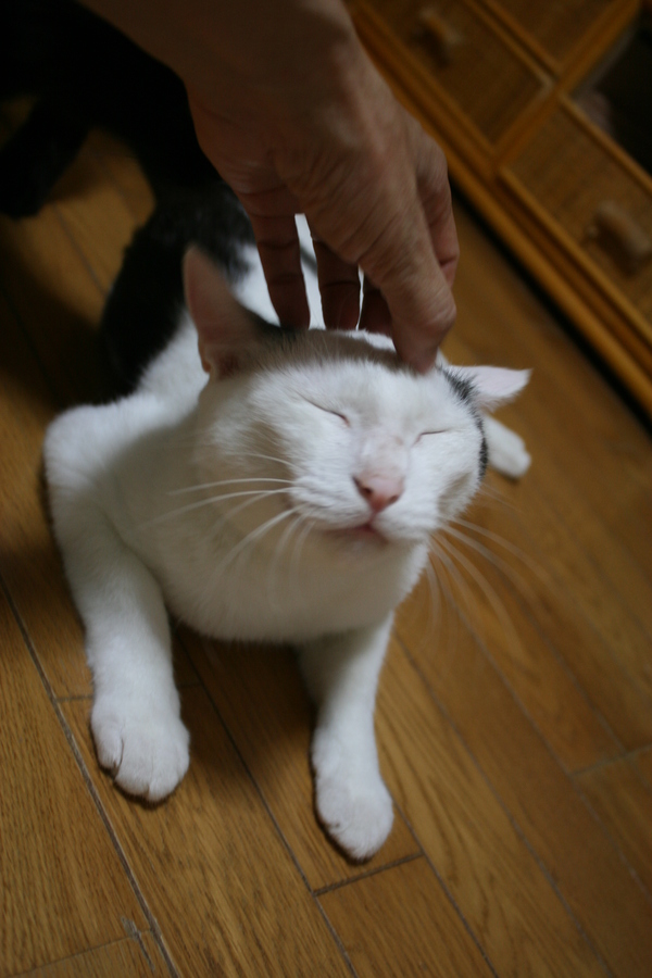 はじめまして!(ミッツ)_f0242002_11232034.jpg