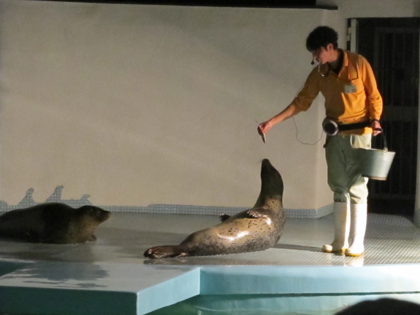 夜の動物園_c0290504_21032841.jpg