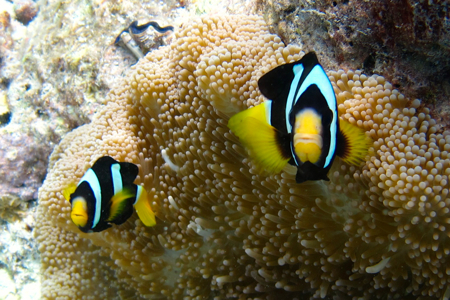 d0298808_14283334.jpg