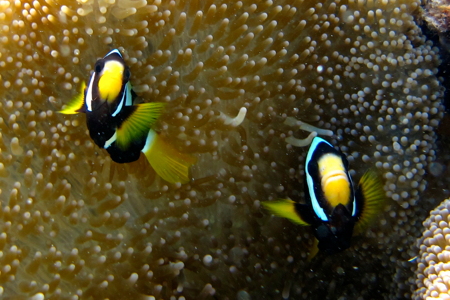 d0298808_1429050.jpg