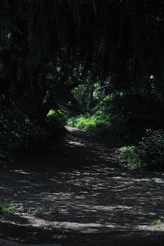 a0278809_10282637.gif