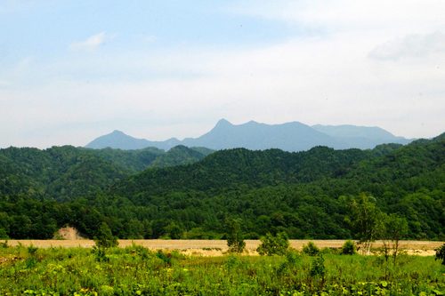 d0119909_11241174.jpg