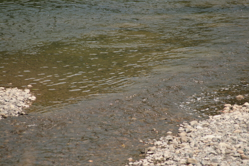 d0119909_11261945.jpg