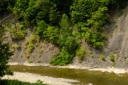d0119909_11264038.jpg