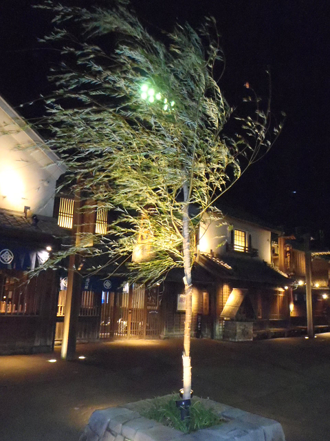 c0223419_221529.jpg
