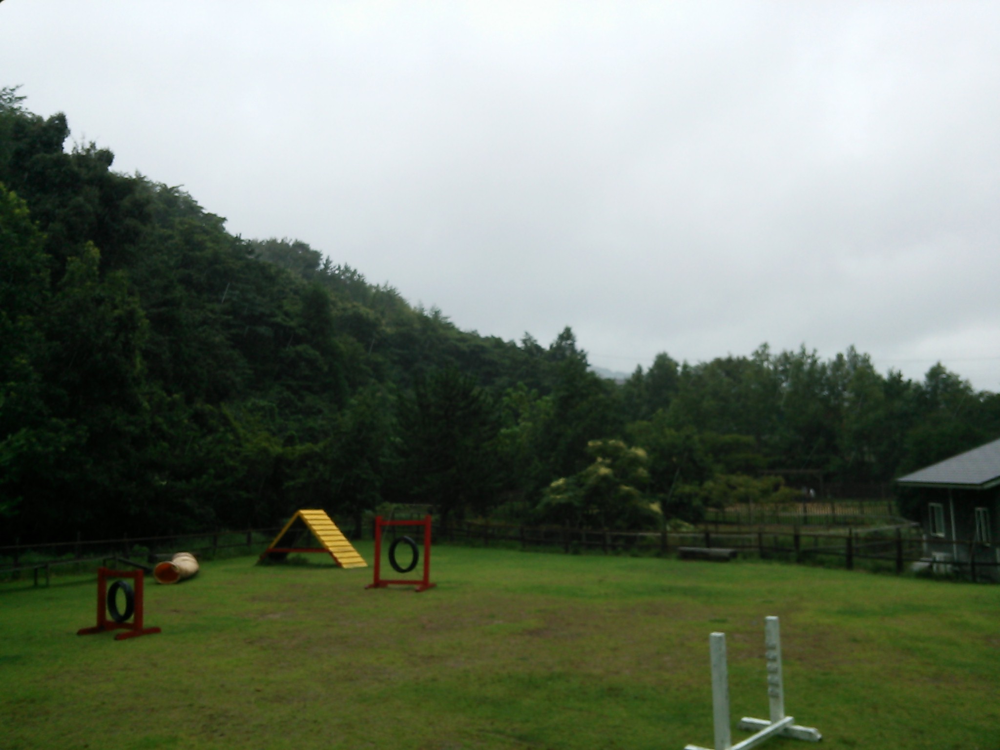 e0179321_16192829.jpg